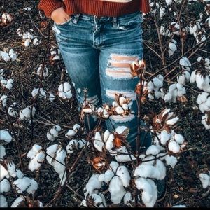 american eagle ripped jeans size 2 short